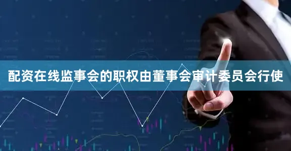 配资在线监事会的职权由董事会审计委员会行使